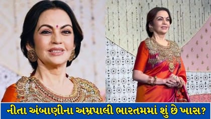 14 માસ્ટર કારીગરોની મહેનત, 3 વર્ષનો સમય અને તૈયાર થયો આ ભવ્ય નેકલેસ