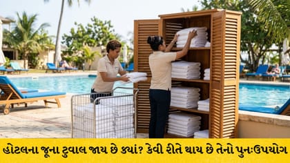 હોટલના જૂના ટુવાલનો આ રીતે થાય છે ઉપયોગ