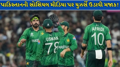 LinkedIn પર મળશે પાકિસ્તાનનો નવો ફિલ્ડિંગ કોચ? PCB ની ભરતીની મજાક
