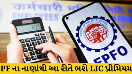 PF ખાતામાંથી આ રીતે ભરો LIC પ્રીમિયમ
