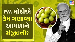 PM મોદીએ કેમ ગણાવ્યા આમળાને સંજીવની? જાણો તે સુપરફૂડના ફાયદા અને ખાવાની સાચી રીત