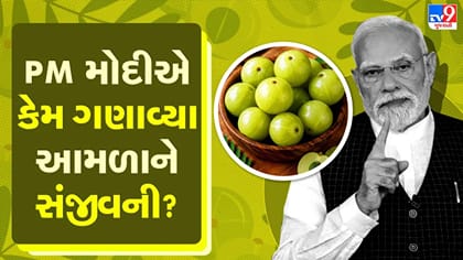 'મન કી બાત'માં PM મોદીએ કેમ કર્યા આમળાના આટલા વખાણ?
