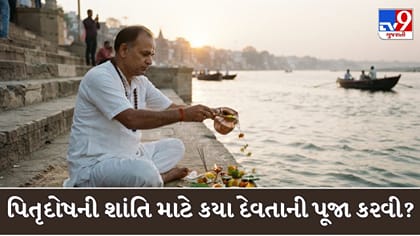 પિતૃદોષથી પરેશાન છો? કરો આ દેવતાઓની પૂજા, જલદી મળશે મુક્તિ!