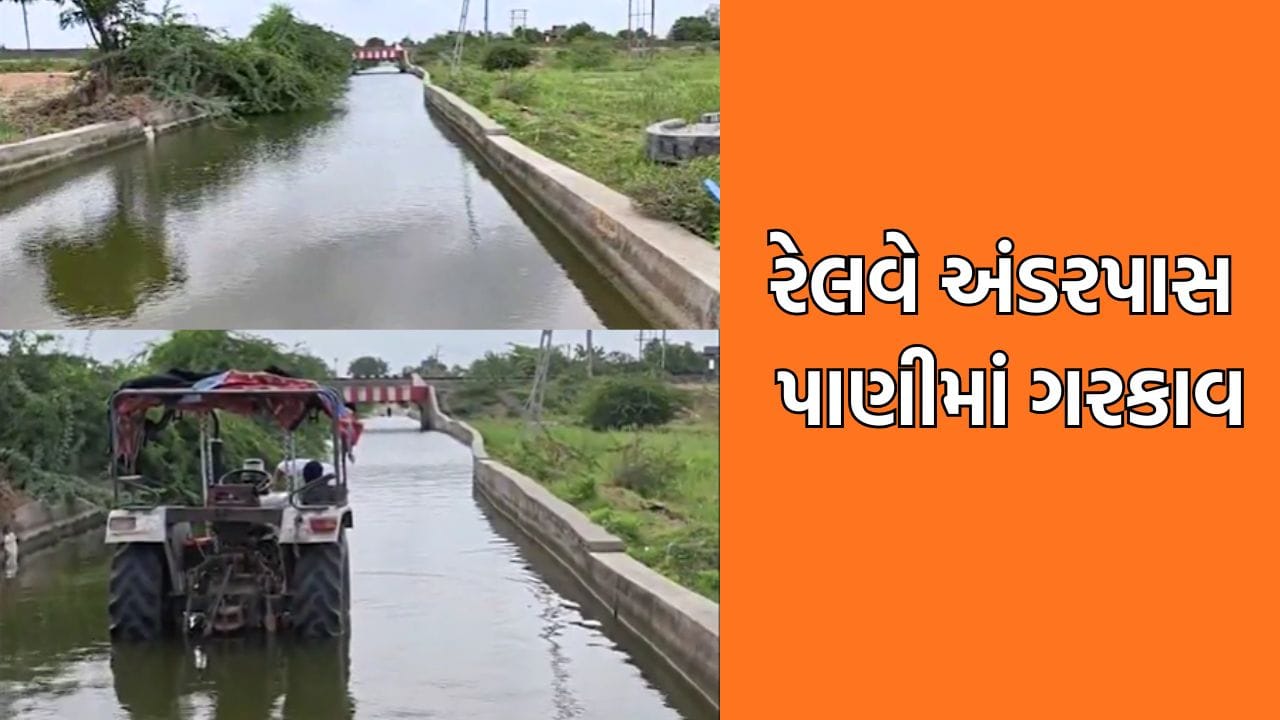 મહેસાણામાં વરસાદે વિરામ લીધાના એક મહિના બાદ પણ અંડર પાસ પાણીમાં ગરકાવ- જુઓ Video મહેસાણામાં વરસાદે વિરામ લીધાના એક મહિના બાદ પણ અંડર પાસ પાણીમાં ગરકાવ- જુઓ Video