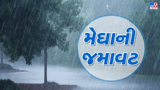 Rain Breaking : ભરૂચના અંકલેશ્વરમાં વહેલી સવારથી મેઘરાજાની એન્ટ્રી, 35 દિવસ બાદ વરસાદથી રાહત, જુઓ Video