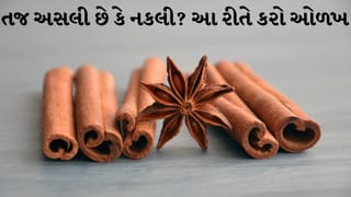 Real vs Fake : રસોડામાં વપરાતુ તજ અસલી છે કે નકલી? આ સરળ ઘરેલું ટેસ્ટથી કરો ઓળખ