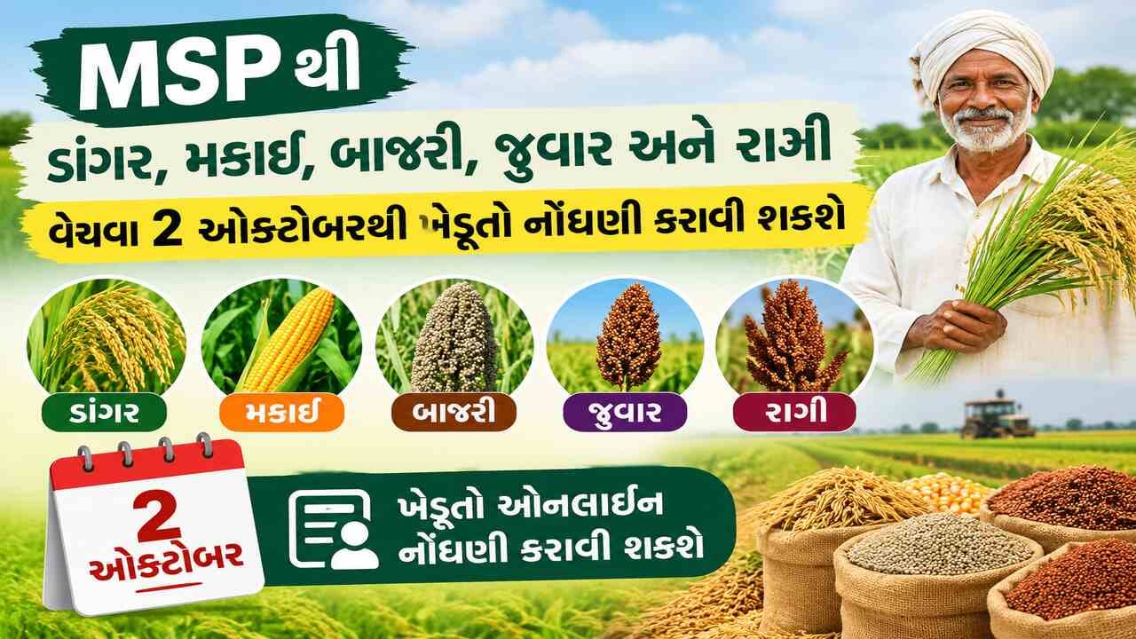 Breaking News : ખેડૂતો માટે મહત્વના સમાચાર, MSP પર ડાંગર, મકાઈ, બાજરી, જુવાર સહિતના પાકની ખરીદી માટે, 2 ઓક્ટોબરથી નોંધણી શરૂ