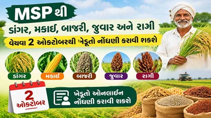 MSPથી ડાંગર, મકાઈ, બાજરી, જુવાર સહિતના પાકની ખરીદી માટે નોંધણી શરૂ થશે