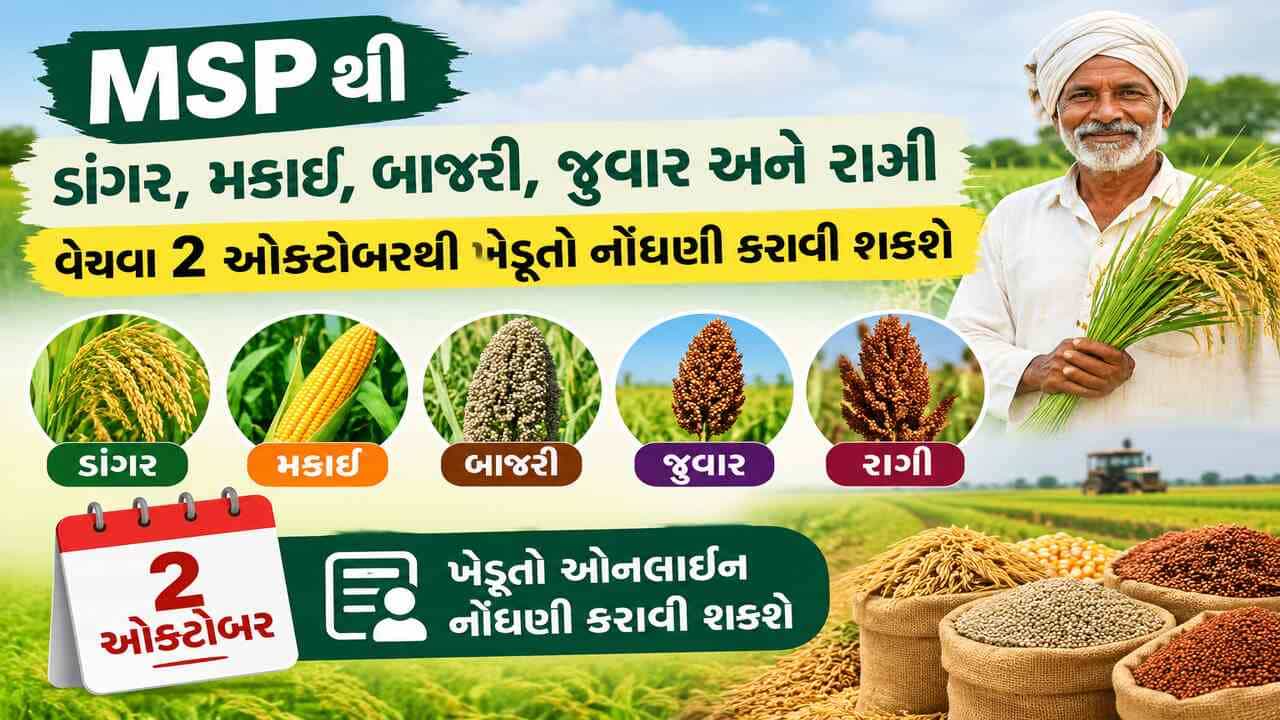 Breaking News : ખેડૂતો માટે મહત્વના સમાચાર, MSP પર ડાંગર, મકાઈ, બાજરી, જુવાર સહિતના પાકની ખરીદી માટે, 2 ઓક્ટોબરથી નોંધણી શરૂ