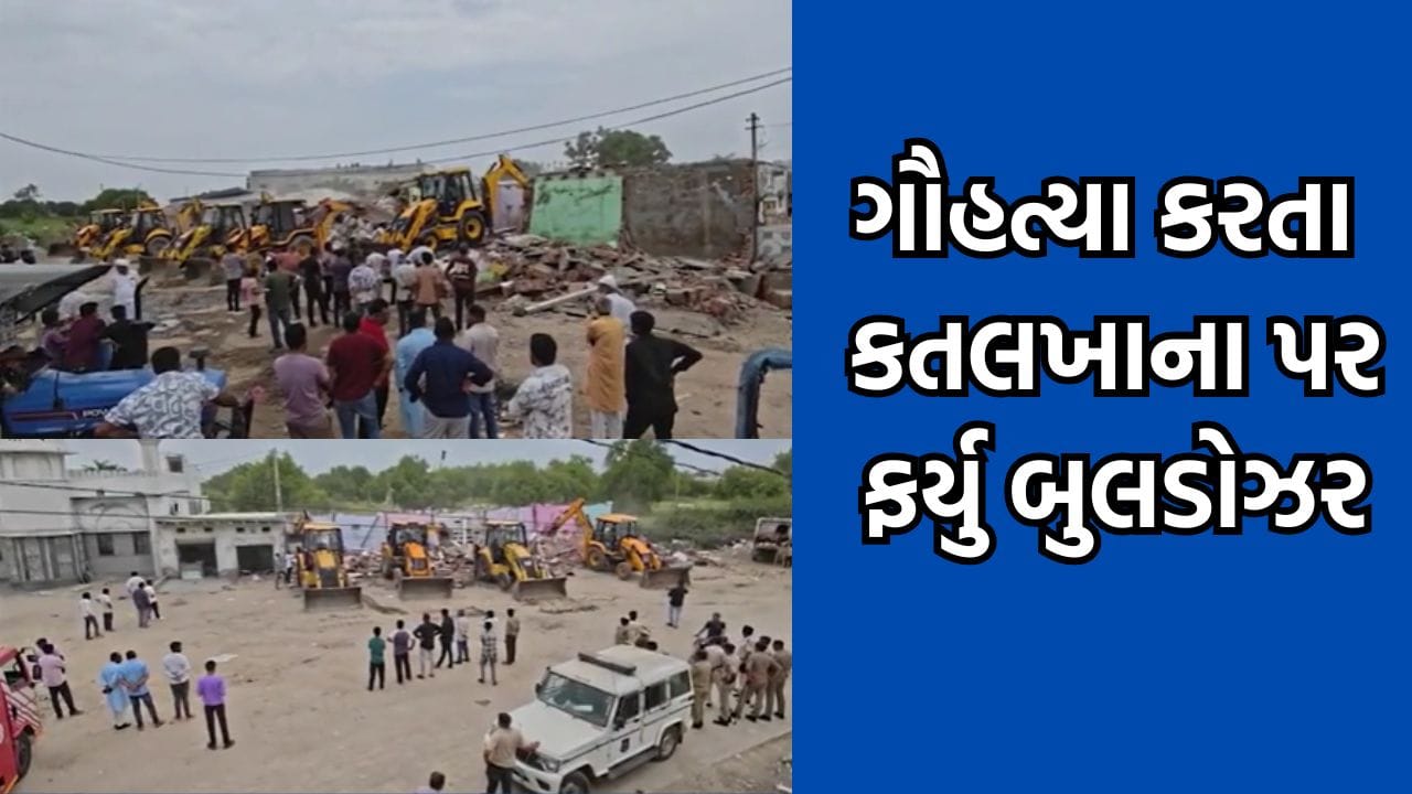 Breaking News: પાટડીમાં ગૌહત્યા કરતી દુકાનો પર ફર્યુ બુલડોઝર, ગેરકાયદે કતલખાના અને નોનવેજની દુકાનો ધ્વસ્ત- Video Breaking News: પાટડીમાં ગૌહત્યા કરતી દુકાનો પર ફર્યુ બુલડોઝર, ગેરકાયદે કતલખાના અને નોનવેજની દુકાનો ધ્વસ્ત- Video