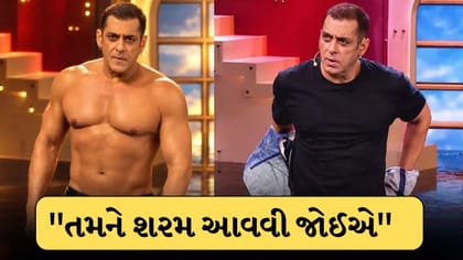 ટિકિટ ખરીદી છે અમને ખરીદ્યા નથી : સલમાન ખાન