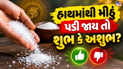 હાથમાંથી મીઠું પડી જાય તો શુભ કે અશુભ? શું કોઈ મોટા સંકટનો સંકેત છે?