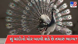 ચાંદીનો આ નાનો મોર બદલી શકે છે તમારું ભાગ્ય? જાણો ક્યાં રાખવો!