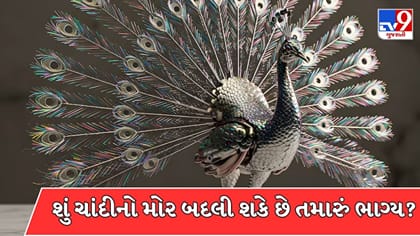 ચાંદીનો આ નાનો મોર બદલી શકે છે તમારું ભાગ્ય? જાણો ક્યાં રાખવો!