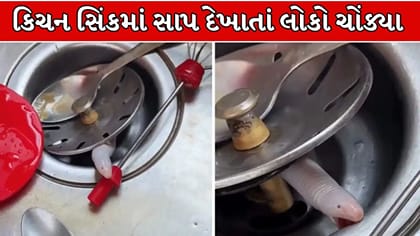 કિચન સિંકમાંથી નીકળ્યો સાપ? વીડિયો વાયરલ થયા બાદ સામે આવી સચ્ચાઈ