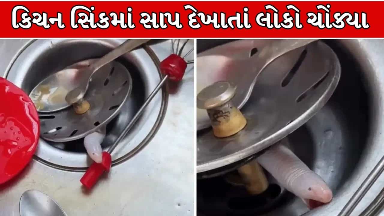 Trending Video : કિચન સિંકમાંથી નીકળ્યો સાપ? વીડિયો વાયરલ થયા બાદ ફેક્ટ ચેકમાં સામે આવી સચ્ચાઈ