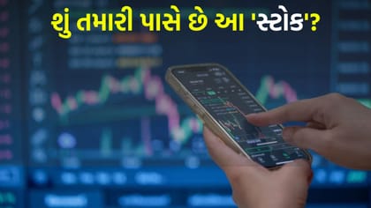 આ શેરે પૈસા કર્યા 8 ગણા... શું હજુ પણ છે રોકાણની તક?