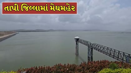 તાપી જિલ્લામાં મેઘરાજાએ કરી એન્ટ્રી, પાકને મળ્યું નવજીવન ! Video