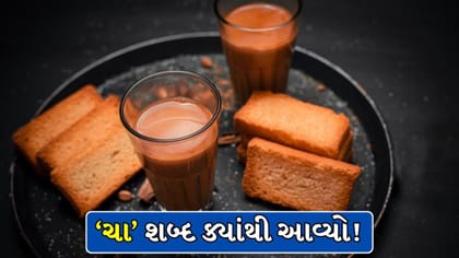 શું ‘ચા’ ગુજરાતી શબ્દ છે? જાણો ગુજરાતીઓનું ફેવરિટ પીણું અસલમાં ક્યાંનુ