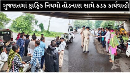 ફેન્સી નંબર પ્લેટવાળા વાહનચાલકો સાવધાન, ગુજરાત પોલીસની કડક કાર્યવાહી!