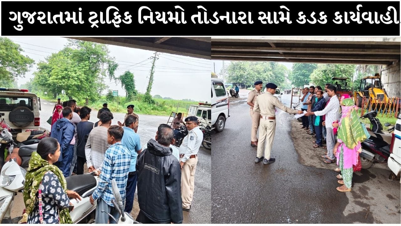 Breaking News : ફેન્સી નંબર પ્લેટવાળા સાવધાન, ગુજરાત પોલીસની મેગા ડ્રાઇવમાં 20 દિવસમાં 18 હજારથી વધુ કેસ! 4 હજાર વાહનો ડિટેઇન