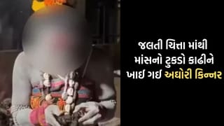 “મારાથી બચીને રહેવુ….” કહીને…  સળગતી ચિતામાંથી માંસનો ટુકડો કાઢી ખાઈ ગઈ અઘોરી કિન્નર, Video Viral થતા નોંધાઈ FIR