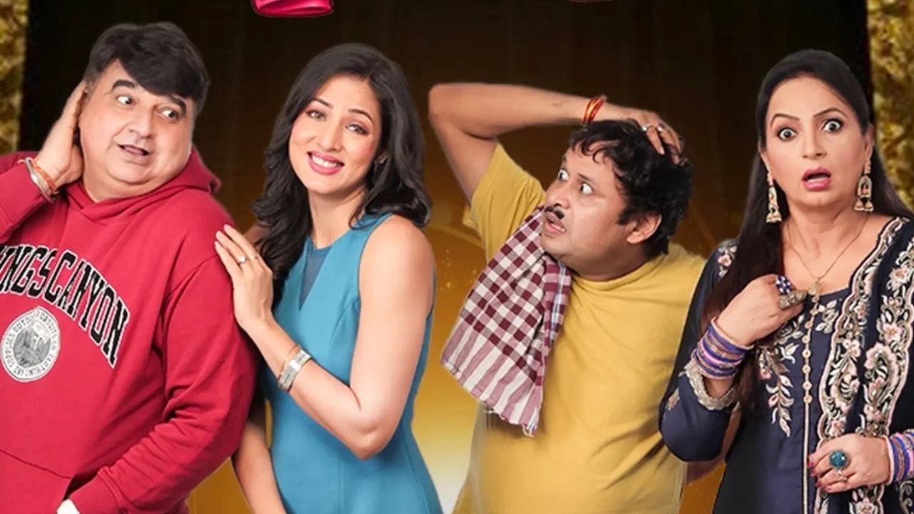 'રાજા કી આયેગી બારાત', 'પરી હૂં મેં', 'માયકા', 'યે મેરી લાઈફ હૈ', 'બાની - ઈશ્ક દા કલમા' અને 'સોનપરી' જેવી સીરિયલોમાં જોવા મળી છે. 'નાદાનિયાં'માં તારાવાંતીની ભૂમિકા અને ટીવી શો 'કોમેડી નાઈટ્સ વિથ કપિલ'માં "બુઆ" ખાસ કરીને તેમનો ફેમસ ડાયલોગ "બિટ્ટુ, કૌન હૈ યે આદમી?"ને કારણે તેઓ ઘરે-ઘરે જાણીતી બની હતી.