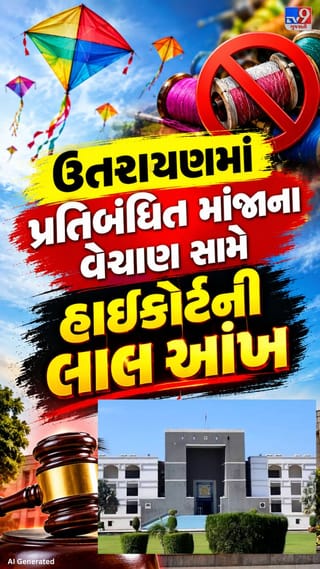 પ્રતિબંધિત વસ્તુ વેચનાર સામે કાર્યવાહી કરવા HCની ટકોર