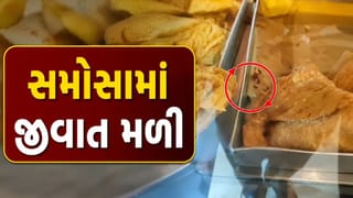 Breaking News : વડોદરાના વડાપાવ આઉટલેટમાં સમોસામાં જીવાત મળી આવતા ખાદ્ય સુરક્ષા પર સવાલો, જુઓ Video