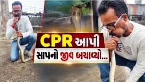 Viral Video : વાપીમાં CPR આપી બચાવ્યો સાપનો જીવ, જુઓ