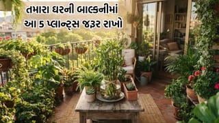 Vastu Plants: તમારા ઘરની બાલકનીમાં લગાવો આ પાંચ પ્લાન્ટ્સ, ખુલી જશે ભાગ્ય અને તરક્કીના દ્વાર