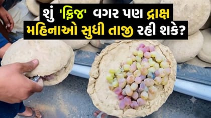 'ફ્રિજ' વગર દ્રાક્ષ મહિનાઓ સુધી તાજી રાખવાની અનોખી દેશી રીત