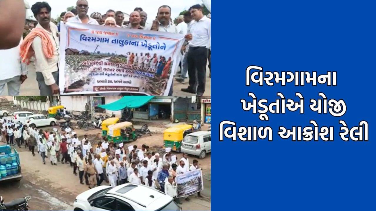 અમદાવાદ: વિરમગામમાં વીજલાઈન મુદ્દે ખેડૂતો ફરી થયા આક્રમક, વિવિધ માગણી સાથે યોજી વિશાળ આક્રોશ રેલી- Video અમદાવાદ: વિરમગામમાં વીજલાઈન મુદ્દે ખેડૂતો ફરી થયા આક્રમક, વિવિધ માગણી સાથે યોજી વિશાળ આક્રોશ રેલી- Video