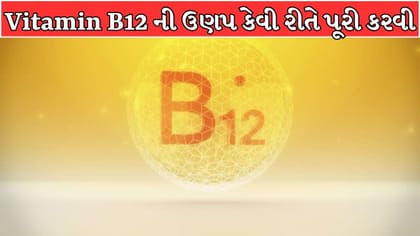 શાકાહારી લોકો Vitamin B12 ની ઉણપ કેવી રીતે પૂરી કરી શકે? જાણો ડાયટ