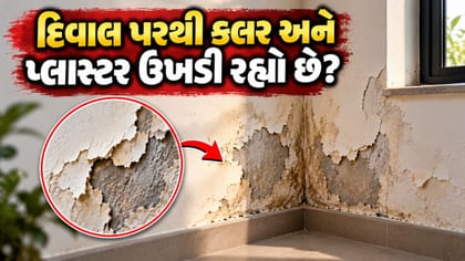 દિવાલ પરથી પેઇન્ટ ઉખડે છે? નવો રંગ કરાવતા પહેલા કરો આ 1 કામ!
