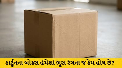 કાર્ટૂન બોક્સ હંમેશાં ભૂરા રંગના કેમ હોય છે?