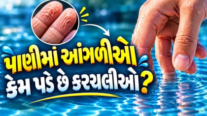 પાણીમાં આંગળીઓ કેમ પડી જાય છે કરચલીવાળી?
