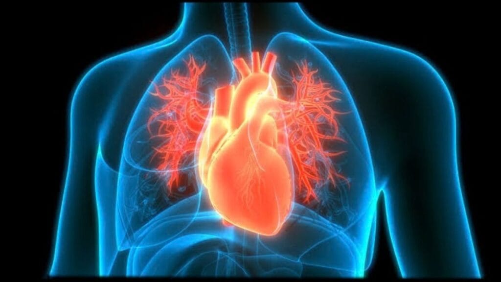 World Heart Day Amazing Heart Facts You Should Know About Your Heart