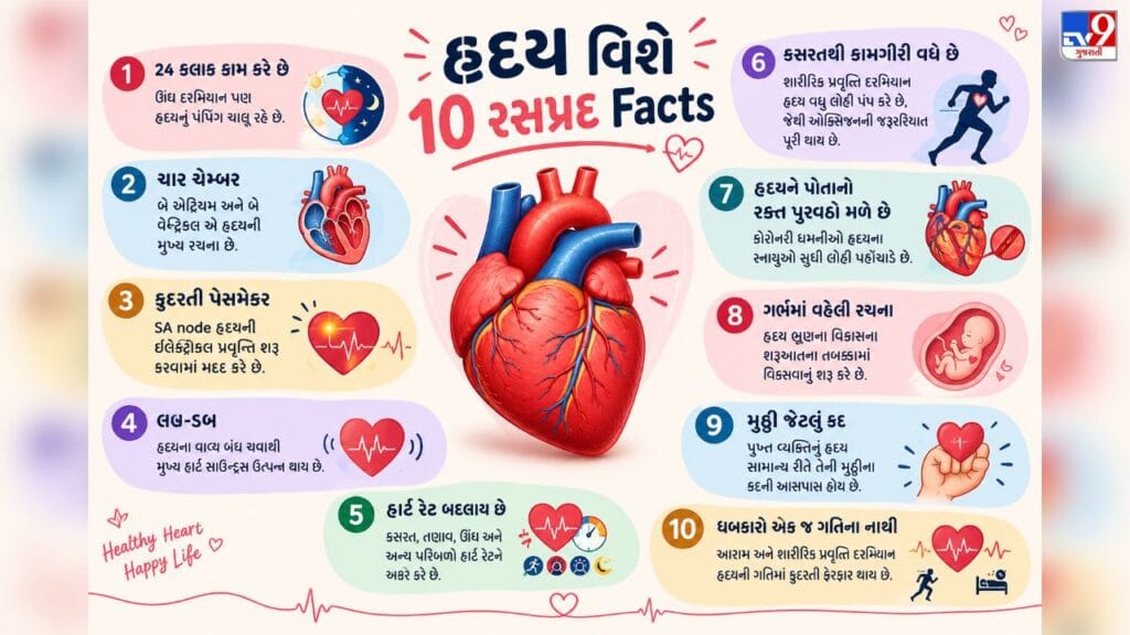 World Heart Day Amazing Heart Facts You Should Know About Your Heart