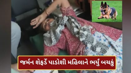 અમદાવાદના વસ્ત્રાલમાં જર્મન શેફર્ડે પાડોશી મહિલાને ભર્યું બચકું