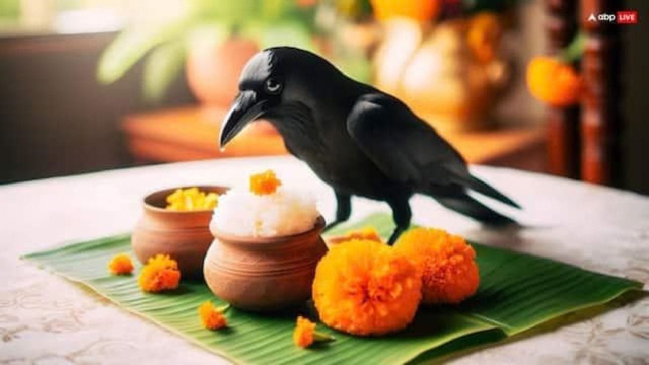 કાગડાઓને ખૂબ જ પવિત્ર પક્ષીઓ તરીકે પૂજનીય છે અને શનિદેવનું વાહન માનવામાં આવે છે.તેથી કાગડાને ન્યાય, શિસ્ત અને નકારાત્મક શક્તિઓથી રક્ષણનું પ્રતીક માનવામાં આવે છે. (All photo : AI)