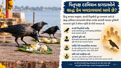 પિતૃપક્ષ દરમિયાન કાગડાઓને શ્રાદ્ધ કેમ ખવડાવવામાં આવે છે?
