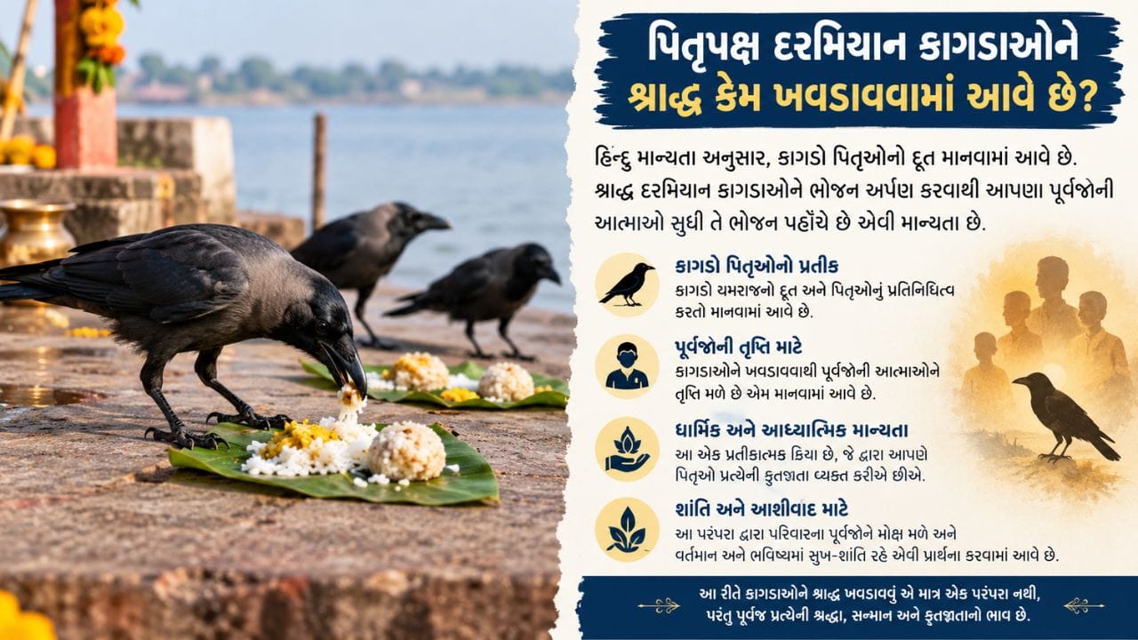 એવું માનવામાં આવે છે કે પિતૃ પક્ષ દરમિયાન કાગડાઓને ખવડાવવાની પરંપરા ત્યારથી ચાલુ છે.