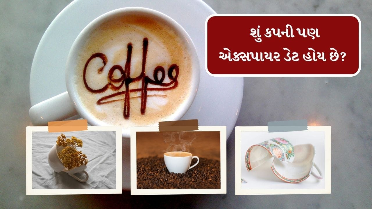 આ કપ જ્યાં સુધી તુટી ન જાય કે ખરાબ ન થઈ જાય ત્યાં સુધી લોકો આને ઘરમાંથી દુર કરતા નથી. પરંતુ શું તમે જાણો છો કે, આની પણ એક્સપાયર ડેટ હોય છે. આપણે આના વિશે ખબર હોવી જરુરી છે. તો ચાલો જાણીએ ચીની માટીનો કપ ક્યારે બદલી નાંખવો જોઈએ.