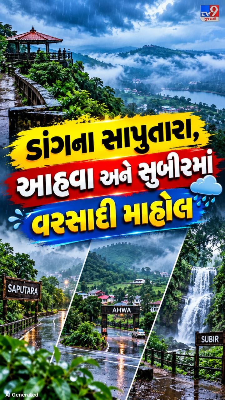 સાર્વત્રિક વરસાદથી ખેડૂતોમાં ખુશીની લહેર
