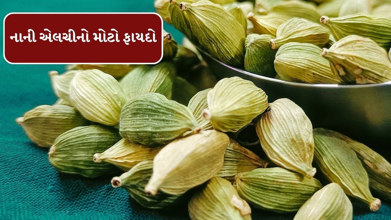 લીલી એલચીમાં શક્તિશાળી એન્ટીઑકિસડન્ટ ગુણધર્મો છે જે રક્ત વાહિનીઓને આરામ આપીને રક્ત પરિભ્રમણને સુધારે છે અને કુદરતી રીતે ઉચ્ચ બ્લડ પ્રેશર ઘટાડવામાં મદદ કરી શકે છે. જોકે, તે દવા તરીકે પ્રાથમિક ભૂમિકા ભજવતું નથી.