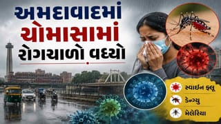 અમદાવાદમાં સ્વાઈન ફ્લૂ, ડેન્ગ્યુ-મલેરિયાના કેસમાં મોટો ઉછાળો, 30 દિવસમાં સ્વાઈન ફ્લૂના 200 દર્દીઓને હોસ્પિટલમાં દાખલ કરાયા