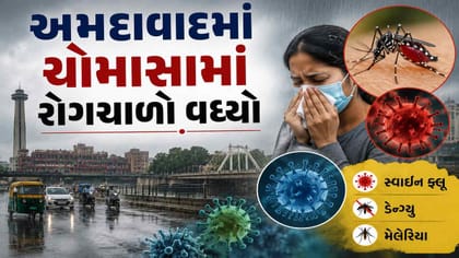 ગત મહિનાની સરખામણીએ ઓગસ્ટ મહિનામાં ડેન્ગ્યુના કેસમાં વધારો
