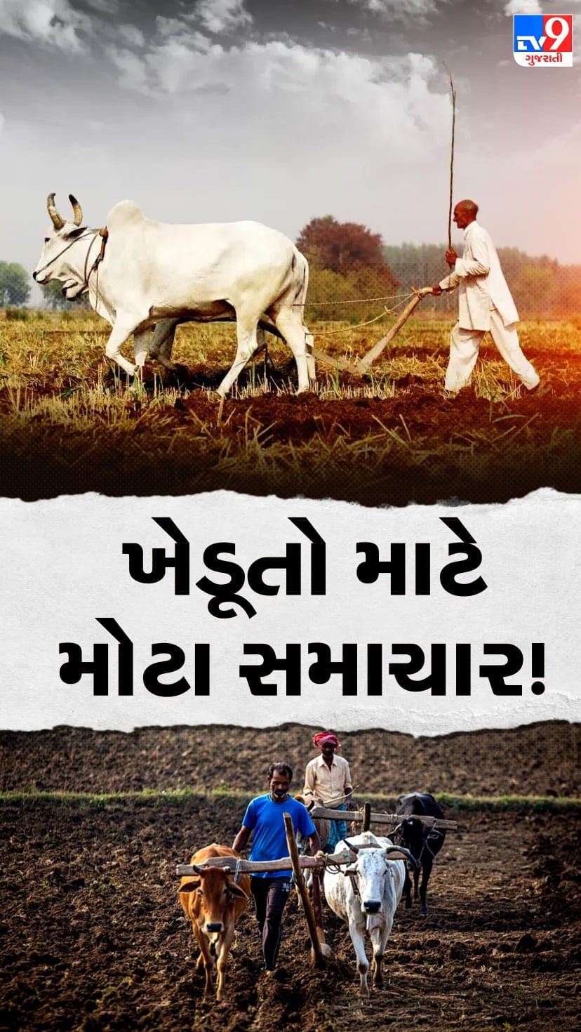 કેન્દ્ર સરકારે ઘઉં સાથે 6 રવિ પાકોની MSPમાં કર્યો વધારો