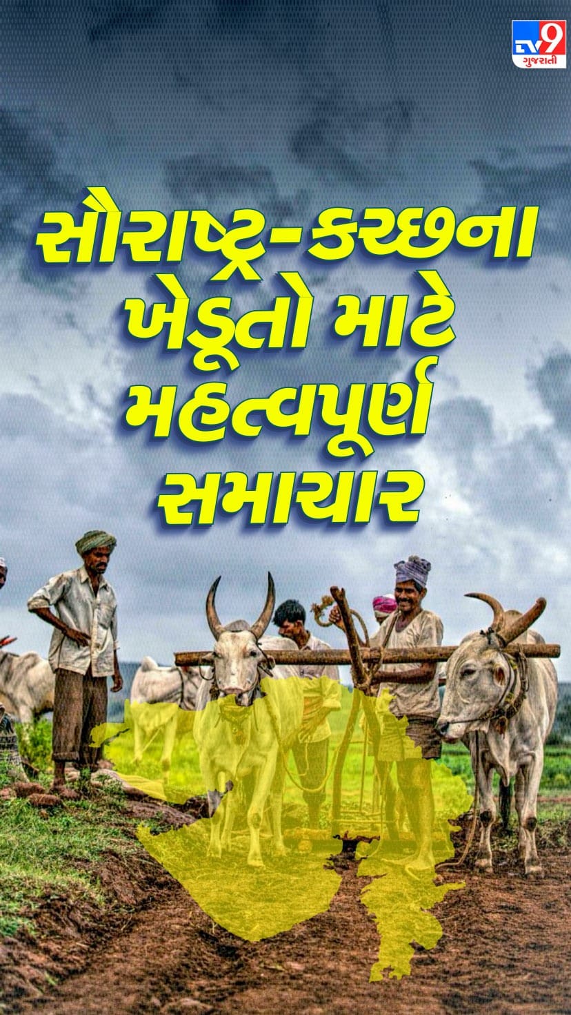 વરસાદને લઈ હવામાન વિભાગે કરી આગાહી